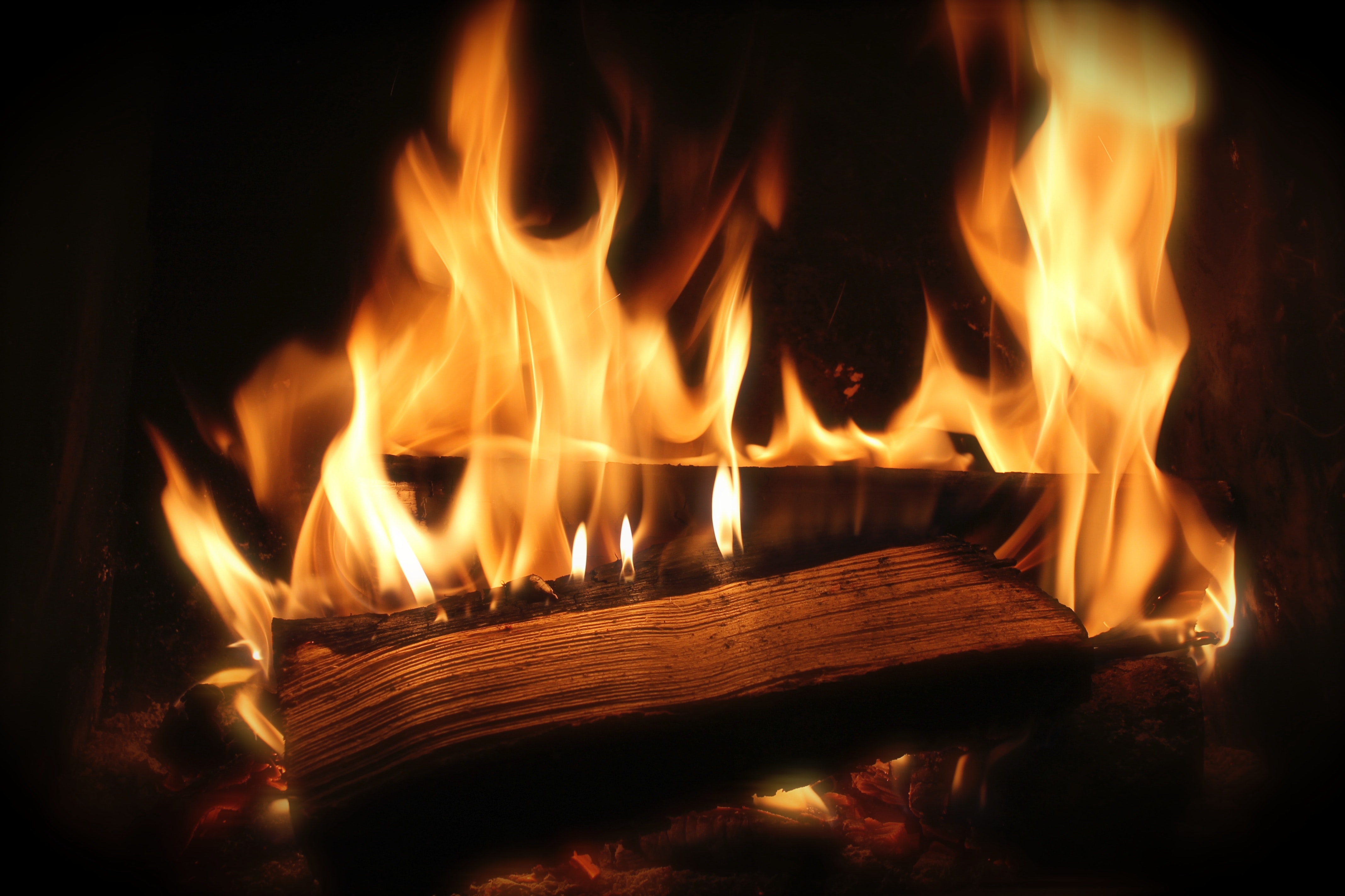 Topení špatně vyschlým dřevem vám ničí kamna. Kupujte dřevo od spolehlivých dodavatelů