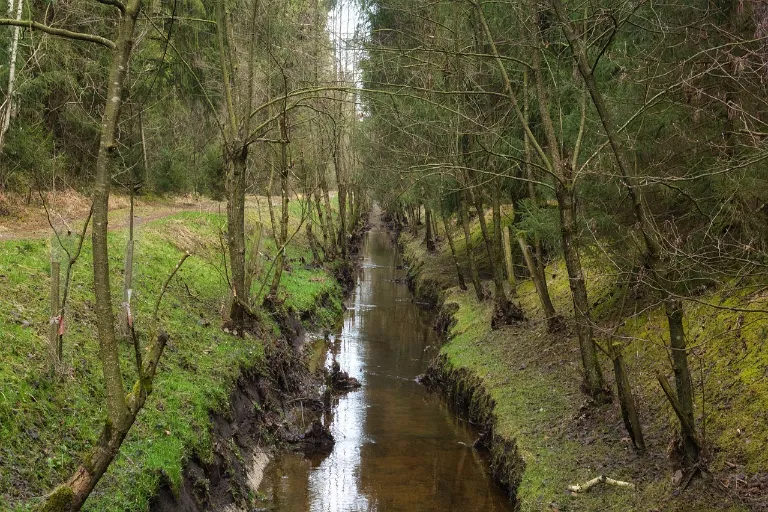 Odvodnění pozemku: Proč je důležité a jak na drenážní systém