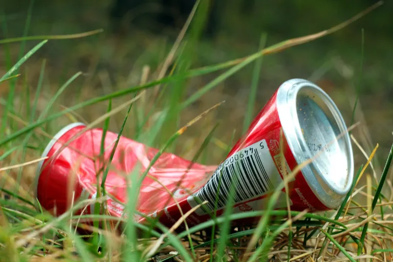 Greenwashing: Proč se ho firmy dopouštějí a příklady z praxe